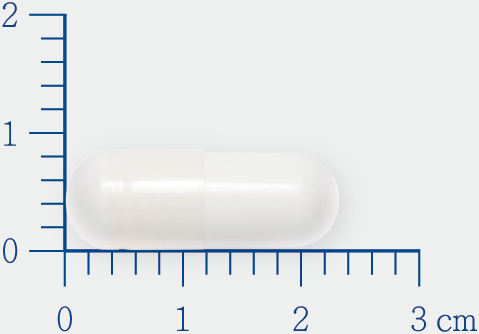 L-Carnitine L-肉酸膠囊食品 1719999843938